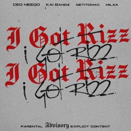 I Got Rizz (feat. Kai Bandz, GetItDmac, Milaa & Bijan) [Slowed] CEO Neeqo