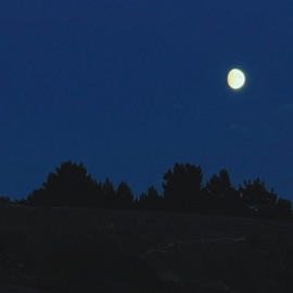 falling for fall Foam & 96 Zeus