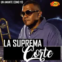 Yo te buscaba — La suprema corte