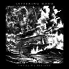 Inexorable Downfall