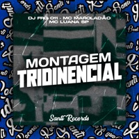 Montagem Tridinencial - Single - DJ FRG 011, MC Luana SP & Mc Maroladão