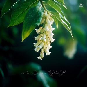 Summer Nights - EP