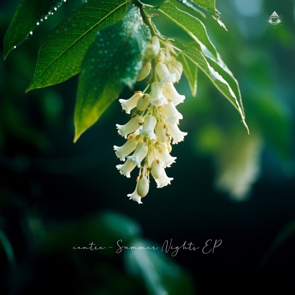 Summer Nights - EP