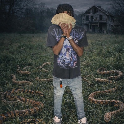 Snakes inna grass - Single