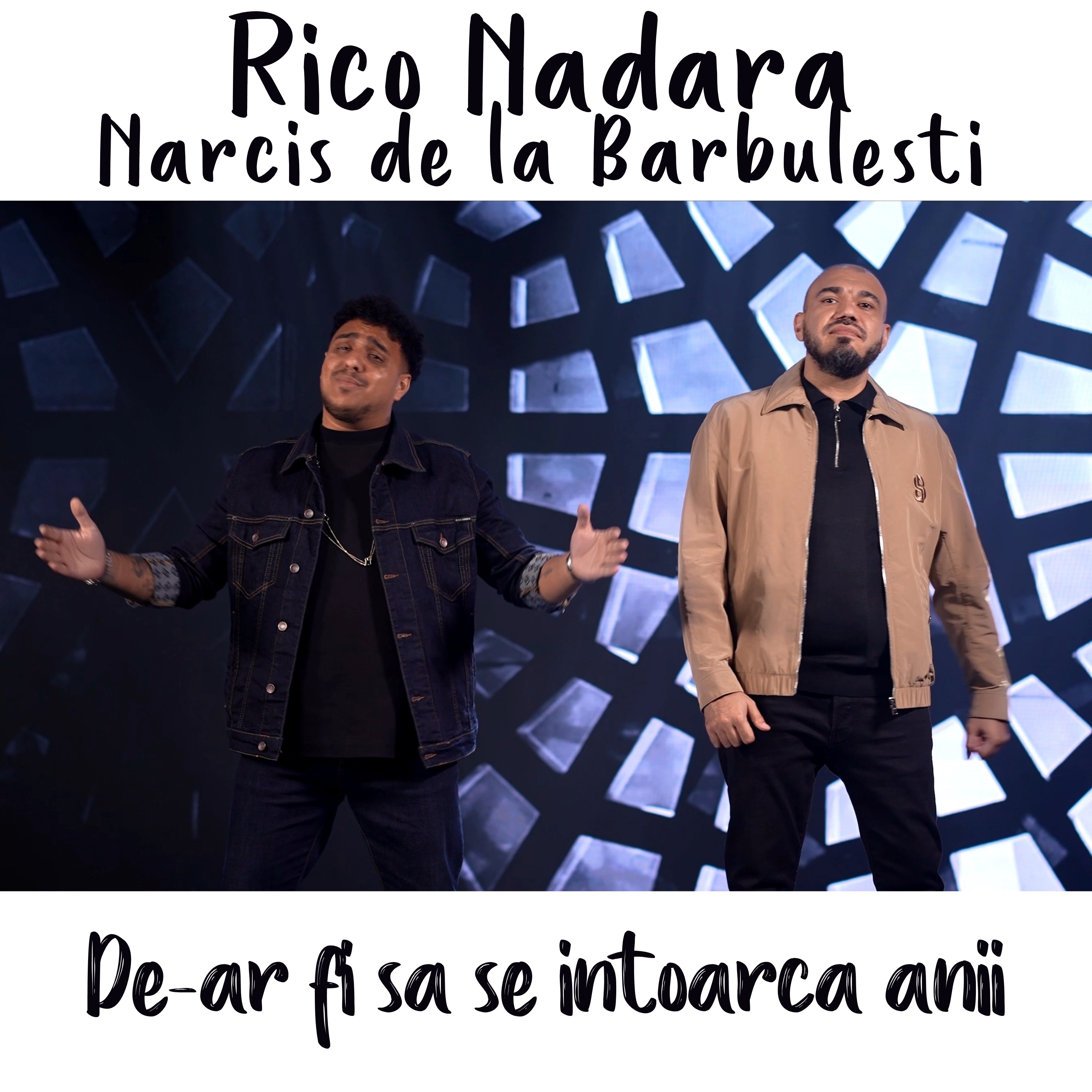 De-ar fi sa se intoarca anii - Single