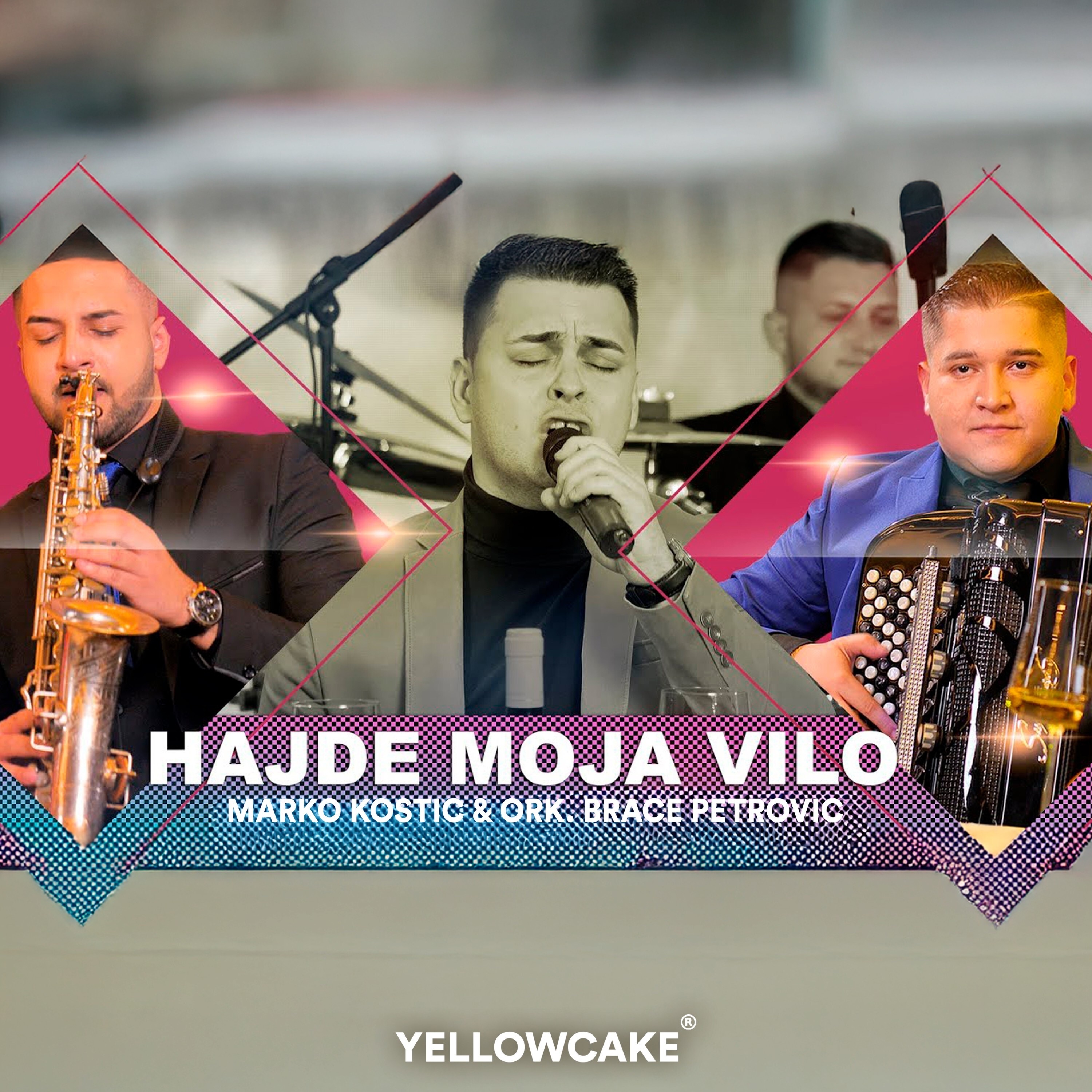 Hajde moja vilo - Single
