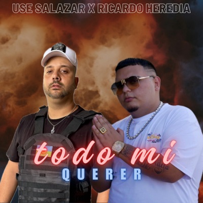 Todo Mi Querer - Single