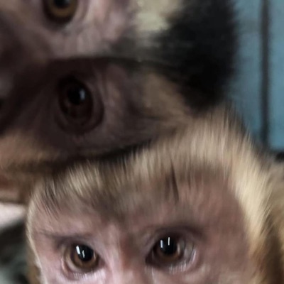 E&S (La que te dediqué) - Single