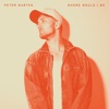 Peter Burton - Where Would I Be