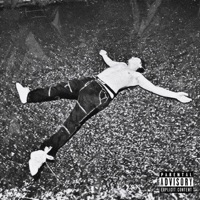 DNY - Single - KØLDA