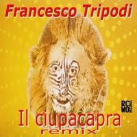 Il Ciupacapra (Remix) [Remastered 2025] - Single - Francesco Tripodi, Davide Liberti, Ivan Colosimo & Michel Dellio