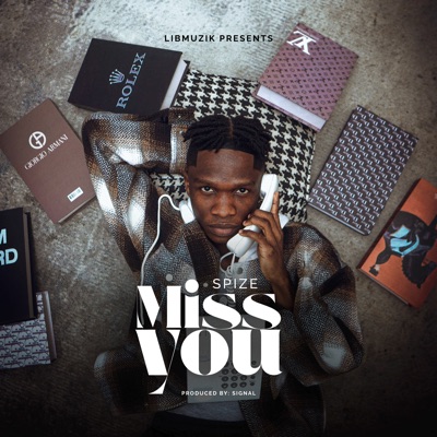 Song - Miss You - Spize