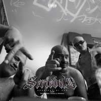 Seriedad (feat. Mister Dogg Vargas & Mdercru) - Single - Straight G! CPT