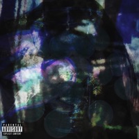 Professional Self-Medication - Levi G.L.D.