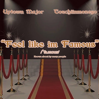 Feel like im Famous (feat. Touchiinmoneyo) - Single