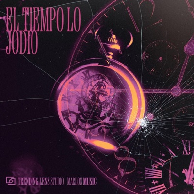 EL TIEMPO LO JODIO (feat. DJ GRINGO) - Single