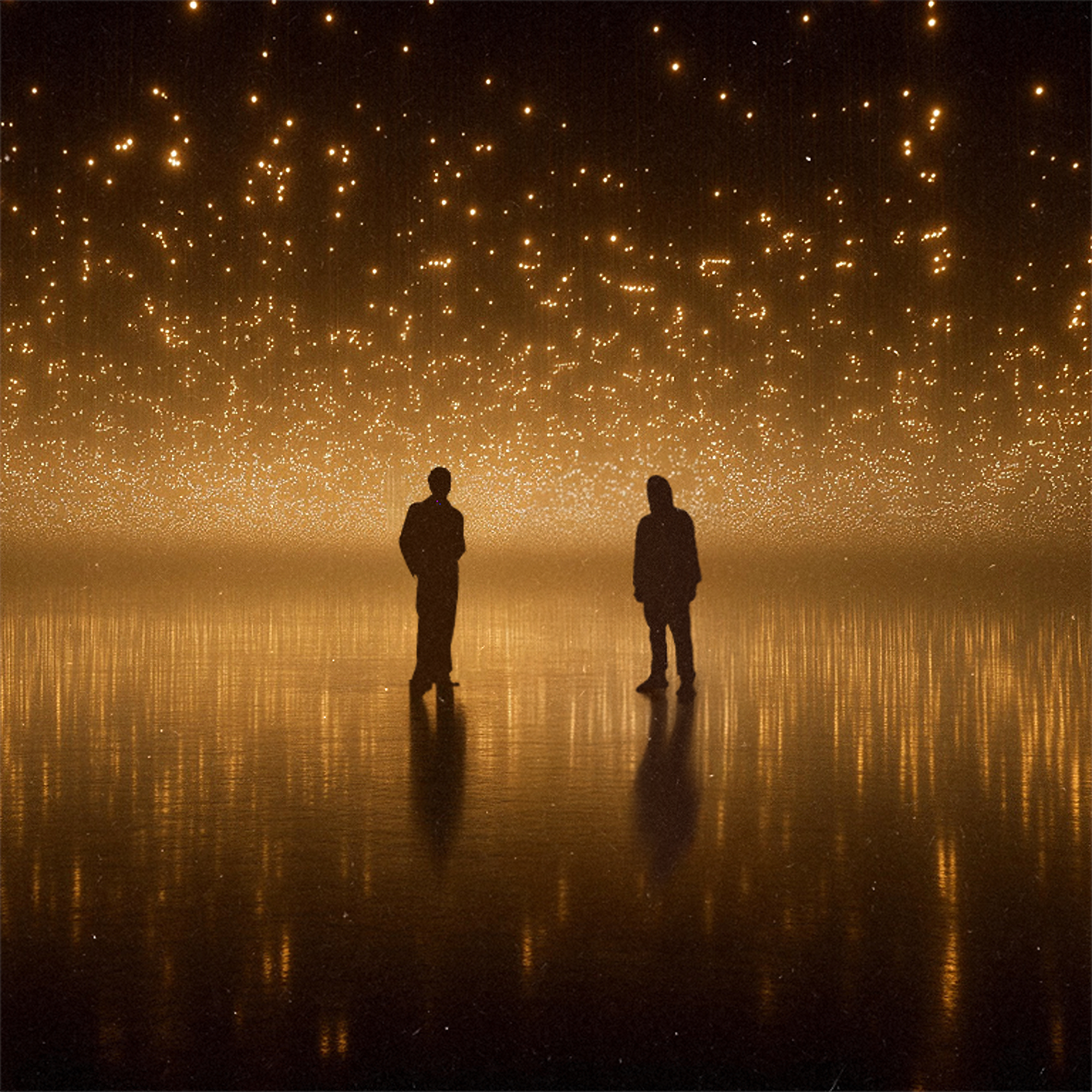 Story of a Bird - Single