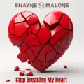 Stop Breaking My Heart