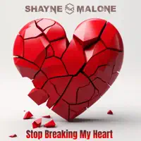 Stop Breaking My Heart — Shayne Malone