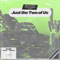 Just the Two of Us — Bikini Bandits