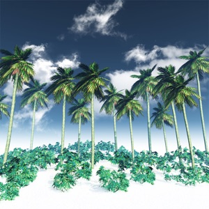 Palm Tree Vibes (Relax & Recharge Beats)