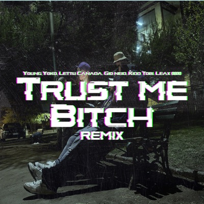 Trust Me Bitch Remix - Single