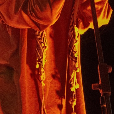 water bird (feat. Olivia C. Dacal) - Single