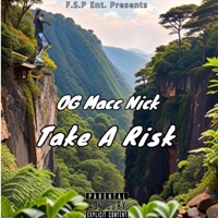 Take a Risk - Single - OG Macc Nick