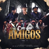 Con los Amigos Vol.1 - La Bertiniza De Culiacan
