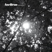 Big in Japan - Ane Brun