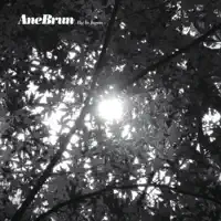 Big in Japan — Ane Brun