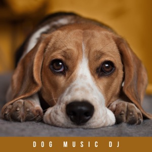 Music For Resting Dogs