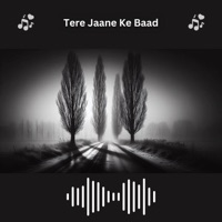 Tere Jaane Ke Baad - Single - Md Sahinur Rahaman