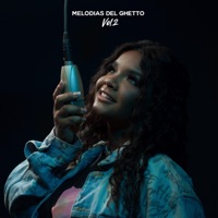 No Vuelvo (MDG Music Sessions) - Single - Melodias del ghetto & Ruth Esther