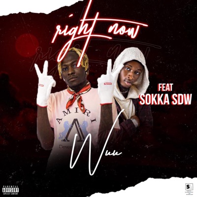 Right Now (feat. Sokka SDW) - Single