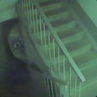 Blame it on me. - Single - AAMON