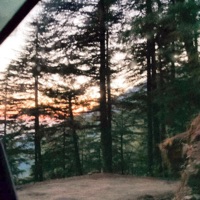 Thankful - Single - AQS