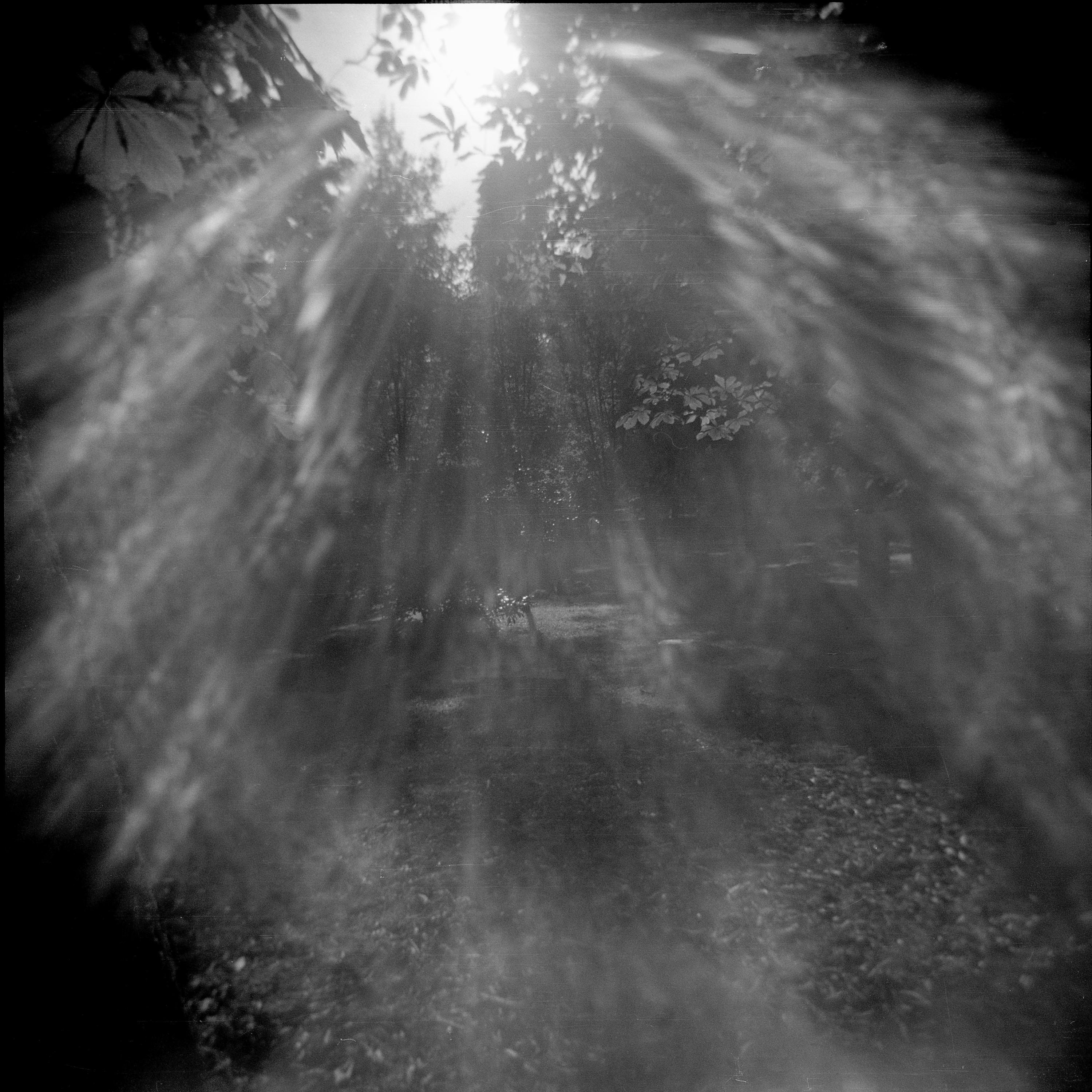 Waves Of Possibilities