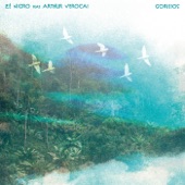 Gorjeios (feat. Arthur Verocai) artwork