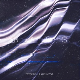 Bass (feat. RAUF HATTAB) Stepkray