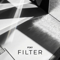Filter - Single - F0XY