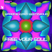 Free Your Soul song art