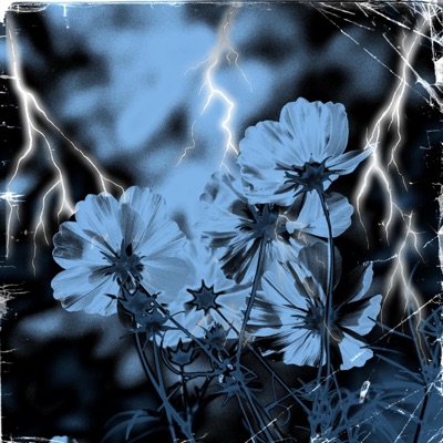 BROKE (feat. Yohid) - Single