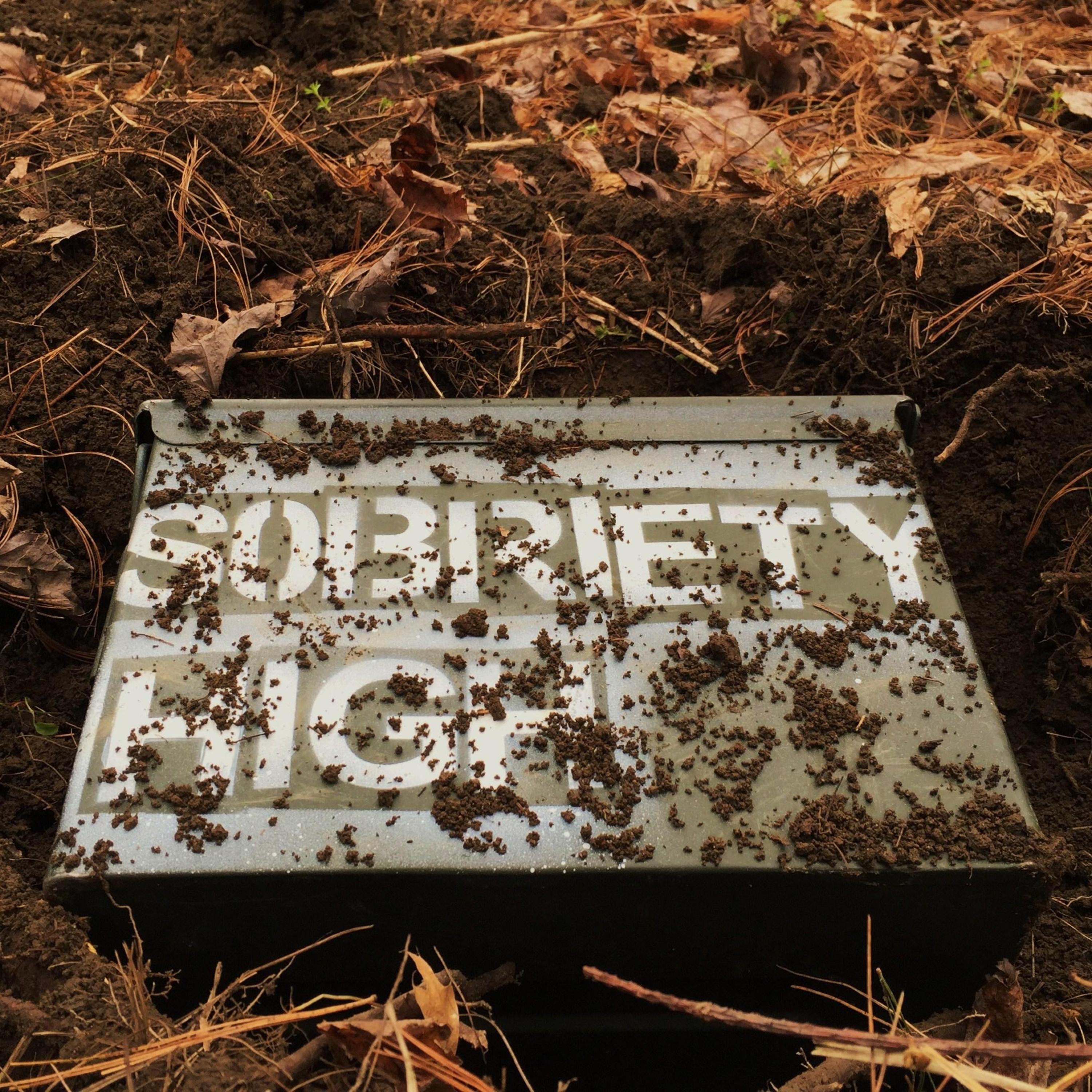 Sobriety High - Single