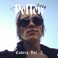 Covers, Vol. 2 - PelleK