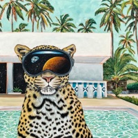 Medicine Disco - Single - Sadhu Sensi & MAGISUS