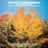 Herbstwind Polka (2024 Remastered Version)