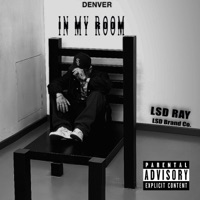 IN MY ROOM - Single - LSD Ray