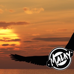 Fly Way (Extended)