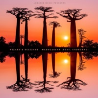 Madagascar (feat. UNDRGRND) - Single - Scizzahz & Wizard